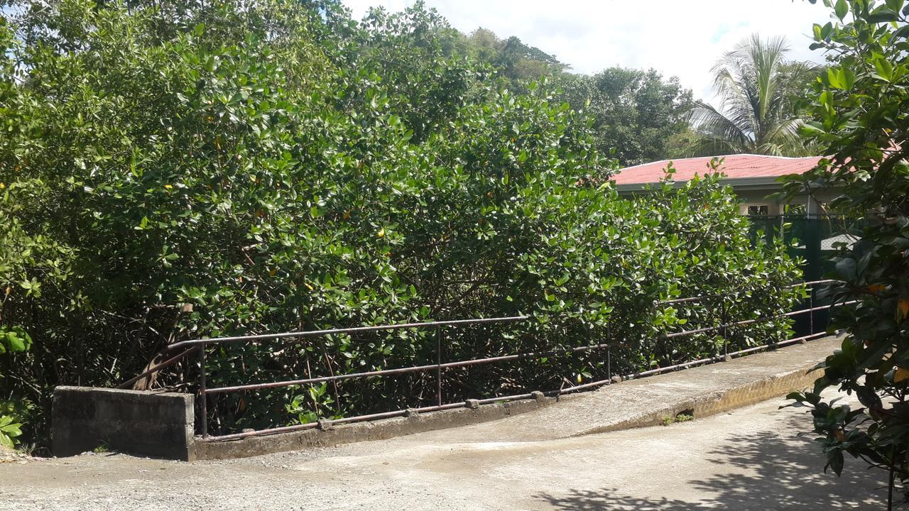 Sueno Tranquilo Hotel Quepos Ngoại thất bức ảnh